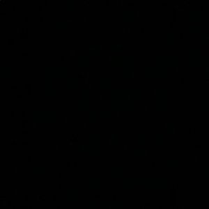 Meet your Posher, Alexus